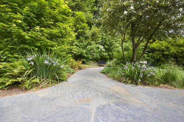 Stone Hardscape Service in Hamburg